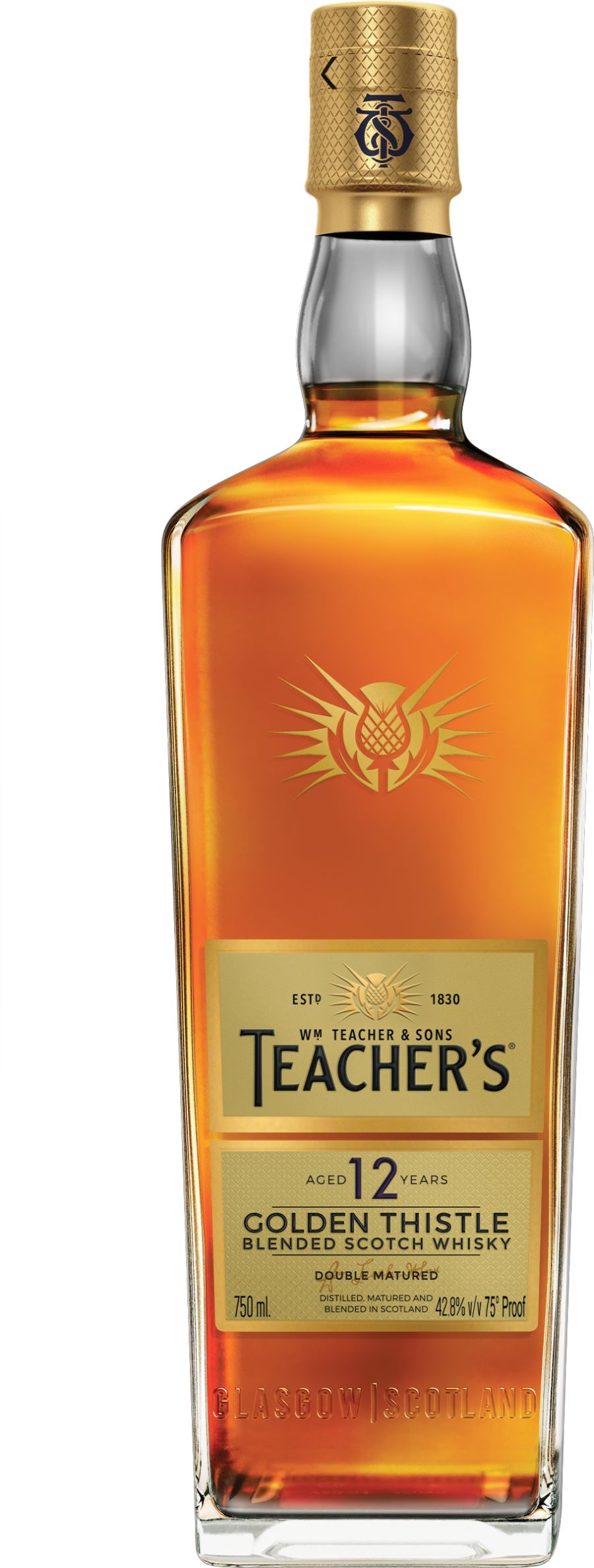 Teacher Golden 12Yr
